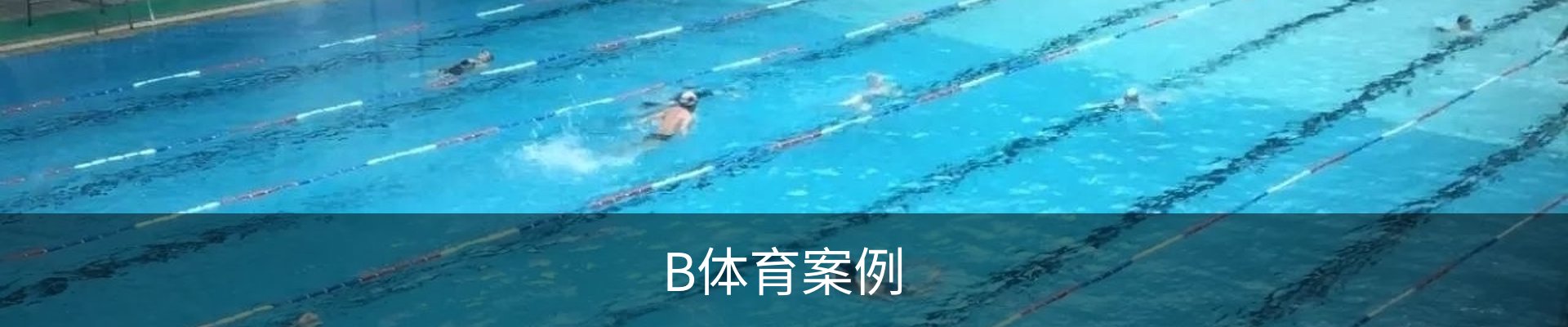 B体育案例